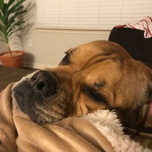 Meet your Posher, Dana